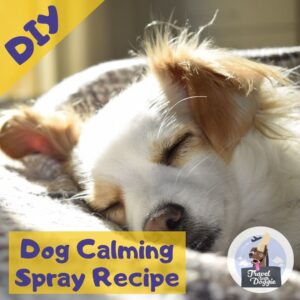 diy calming spray for dogs