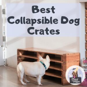 best portable dog crate